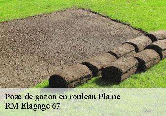 Pose de gazon en rouleau plaine-67420 RM Elagage 67