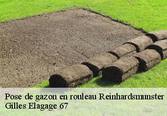 Pose de gazon en rouleau reinhardsmunster-67440 Gilles Elagage 67