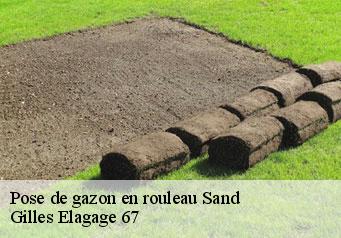 Pose de gazon en rouleau  sand-67230 Gilles Elagage 67