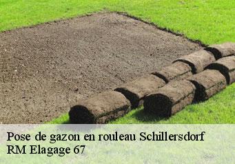 Pose de gazon en rouleau  schillersdorf-67340 Gilles Elagage 67