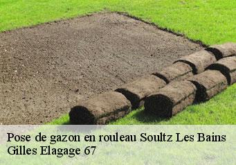 Pose de gazon en rouleau  soultz-les-bains-67120 Gilles Elagage 67