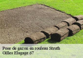 Pose de gazon en rouleau  struth-67290 Gilles Elagage 67