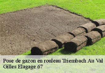 Pose de gazon en rouleau triembach-au-val-67220 Gilles Elagage 67