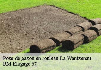 Pose de gazon en rouleau la-wantzenau-67610 RM Elagage 67