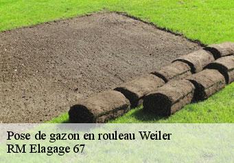 Pose de gazon en rouleau  weiler-67160 Gilles Elagage 67