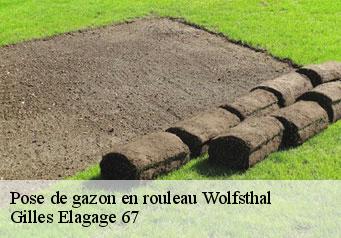 Pose de gazon en rouleau  wolfsthal-67710 Gilles Elagage 67
