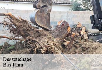 Dessouchage Bas-Rhin
