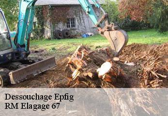 Dessouchage epfig-67680 RM Elagage 67
