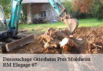 Dessouchage griesheim-pres-molsheim-67210 RM Elagage 67