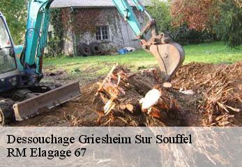Dessouchage griesheim-sur-souffel-67370 RM Elagage 67