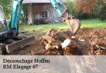 Dessouchage hoffen-67250 RM Elagage 67