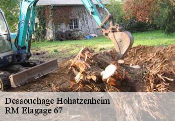 Dessouchage hohatzenheim-67170 RM Elagage 67