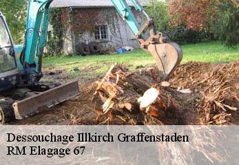 Dessouchage illkirch-graffenstaden-67400 RM Elagage 67