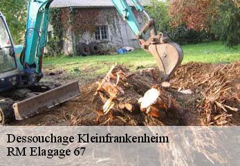 Dessouchage kleinfrankenheim-67370 RM Elagage 67