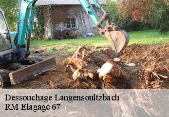Dessouchage langensoultzbach-67360 RM Elagage 67