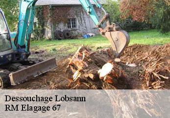 Dessouchage lobsann-67250 RM Elagage 67