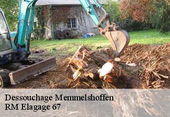 Dessouchage  memmelshoffen-67250 RM Elagage 67