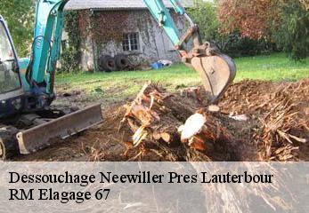 Dessouchage neewiller-pres-lauterbour-67630 RM Elagage 67