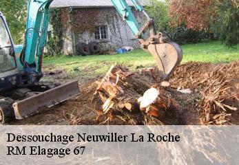 Dessouchage neuwiller-la-roche-67130 RM Elagage 67