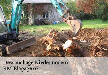 Dessouchage niedermodern-67350 RM Elagage 67