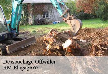 Dessouchage offwiller-67340 RM Elagage 67