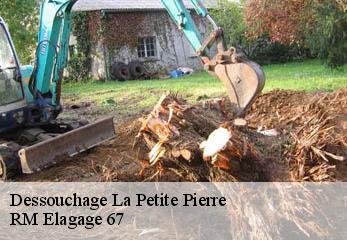 Dessouchage la-petite-pierre-67290 RM Elagage 67