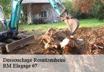 Dessouchage  rountzenheim-67480 RM Elagage 67