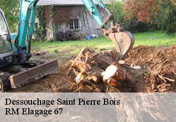 Dessouchage saint-pierre-bois-67220 RM Elagage 67