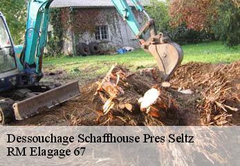 Dessouchage schaffhouse-pres-seltz-67470 RM Elagage 67