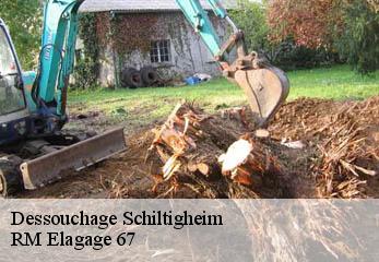 Dessouchage schiltigheim-67300 RM Elagage 67