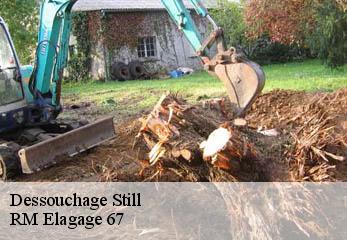 Dessouchage still-67190 RM Elagage 67