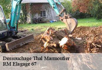 Dessouchage thal-marmoutier-67440 RM Elagage 67