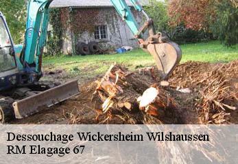 Dessouchage wickersheim-wilshaussen-67270 RM Elagage 67