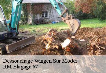 Dessouchage wingen-sur-moder-67290 RM Elagage 67