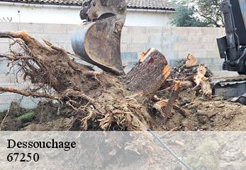 Dessouchage 67250