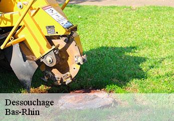 dessouchage